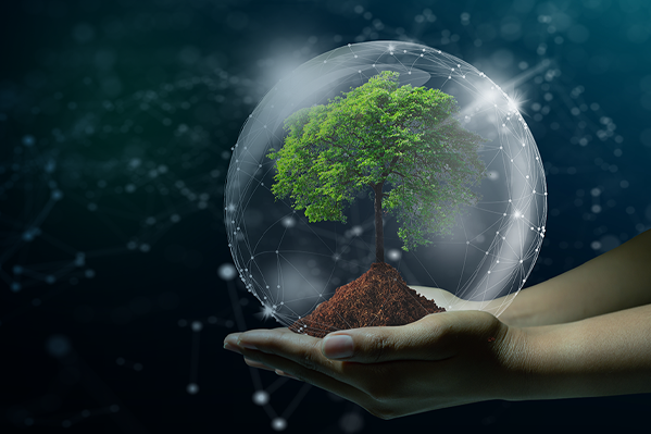 Tecnologia Verde: por que você precisa adorar?