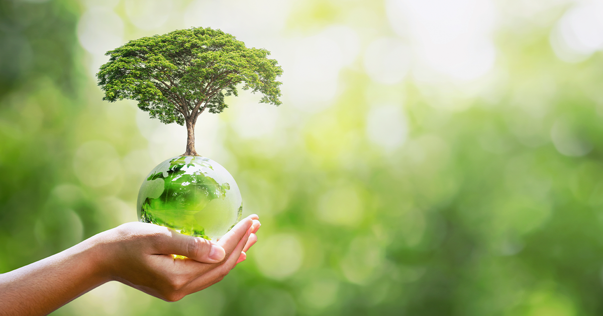 Data Center Verde: como esse conceito é capaz de trazer redução de custos gerais nas empresas